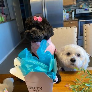 Meet your Posher, Sabrina